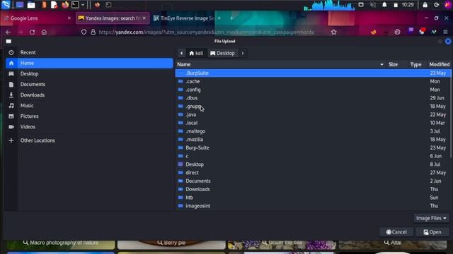 Reverse Image Search || How To Extract Image Metadata In Kali Linux смотреть онлайн