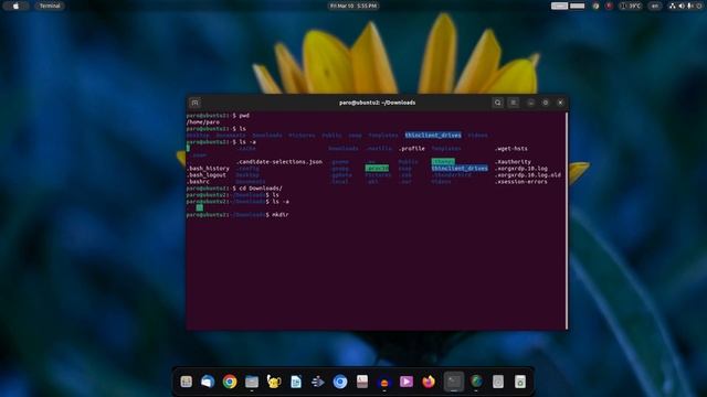 Basic Terminal Commands in Linux Ubuntu -- Shreya -- english смотреть онлайн