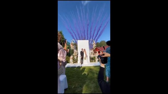 Дымовой салют свадебный 2023 смотреть онлайн