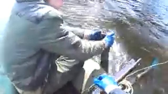 ВЫТАЩИЛИ НЕ ПОНЯТНО ЧТО!!! МАГНИТНЫЕ ЧУДЕСА!!! смотреть онлайн