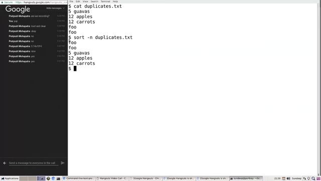 Using the sort command смотреть онлайн