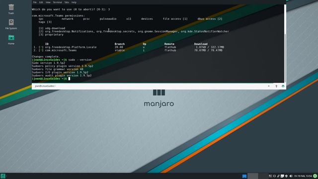 Manjaro vs Linux Mint - Which is the better one? смотреть онлайн