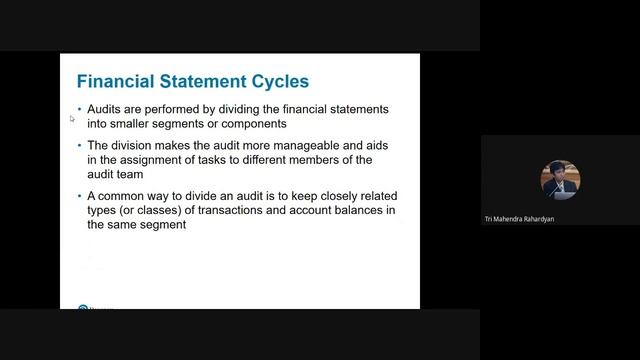 5 Audit Responsibilities and Audit Objectives смотреть онлайн