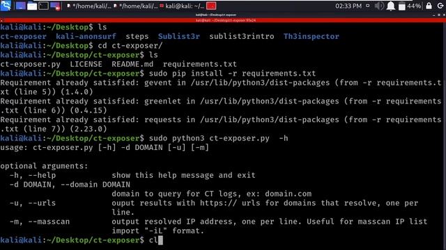 Uncover Hidden Subdomains to Reveal Internal Services with CT-Exposer смотреть онлайн