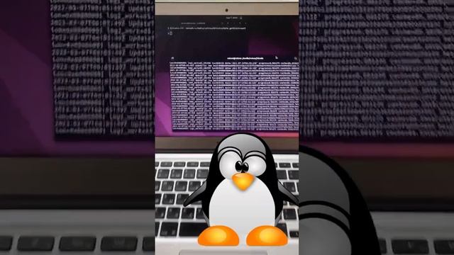 EXORCISME MAC LINUX BICTOIN смотреть онлайн