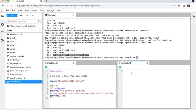 Introduction to the Linux Shell: Shell Scripting смотреть онлайн