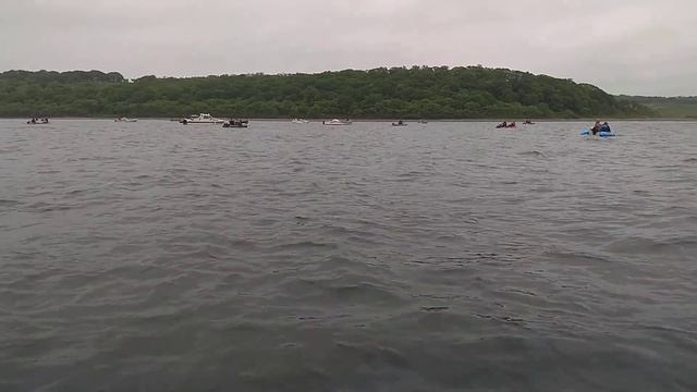 VID 20190608 091124 смотреть онлайн