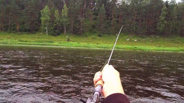 Евронимфинг Euro Nymphing 4 часть. Техника и приемы ловли. Семинар Андрея Тороповского. смотреть онлайн