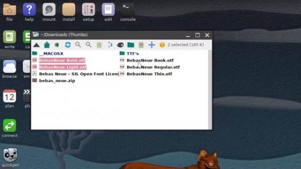 Puppy Linux: Download and Install Fonts