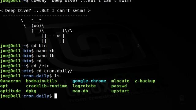 Linux Talk | Deep Dive into Backups, Anacron and Automation смотреть онлайн