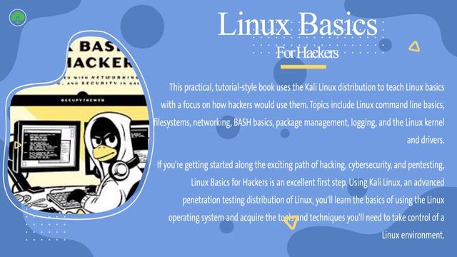 Linux Basics for Hackers: Getting Started with Networking, Scripting, and Security in Kali смотреть онлайн