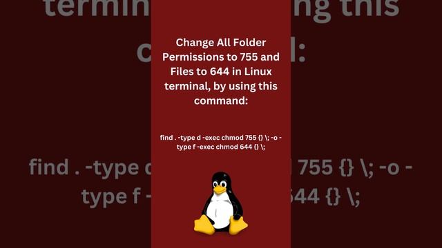Set All Folder Permissions to 755 and Files to 644 #linux #ubuntu #command #commandline #terminal смотреть онлайн