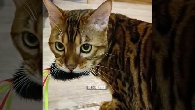 Иди на.... смотреть онлайн