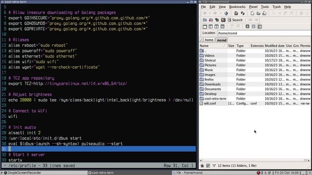 I built linux distro from scratch: Monkey See, Monkey Do Linux смотреть онлайн