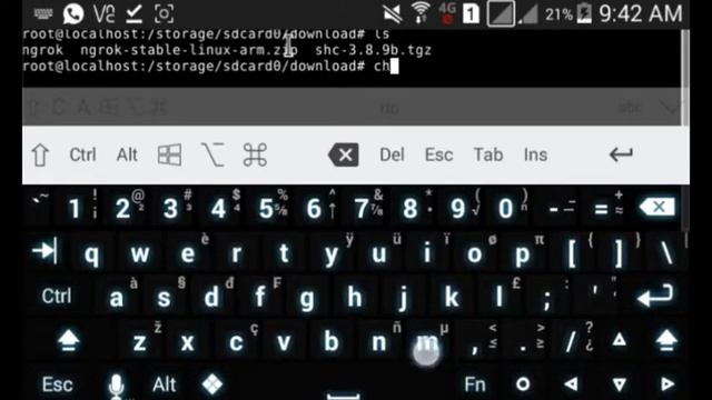 Como instalar o Ngrok no Kali linux No Android (Deploy) смотреть онлайн