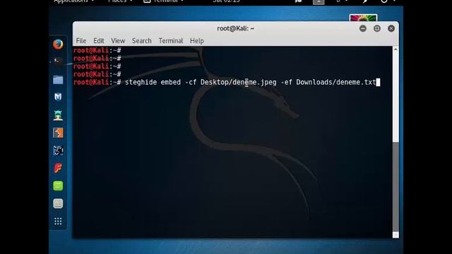 Steghide смотреть онлайн