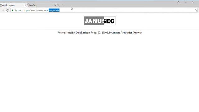 WAF Demo with Janusec Application Gateway смотреть онлайн