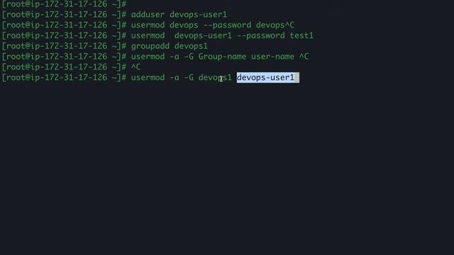 Linux User Management and Administration Commands || Welcome to the devops Journey :) смотреть онлайн