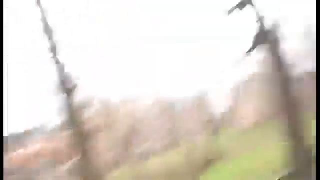 А я думала... Сова... смотреть онлайн