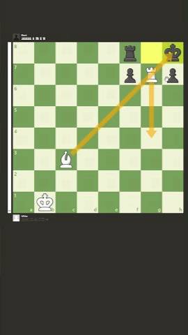 Morphy’s Checkmate Chess Endgame смотреть онлайн