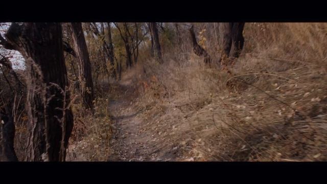 Немного осени.... смотреть онлайн