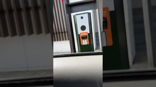 Курбан Омаров довел до слез беременную жену в токсикозе смотреть онлайн