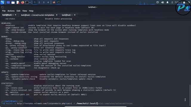Nuclei Vulnerability Scan - Full Tutorial (Automated Scanning) смотреть онлайн
