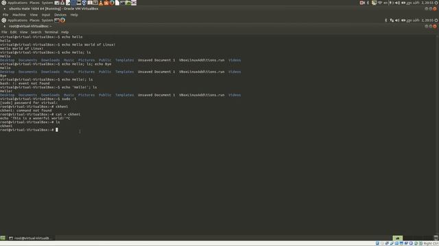 LINUX command line basics 003 echo cat chmod env смотреть онлайн