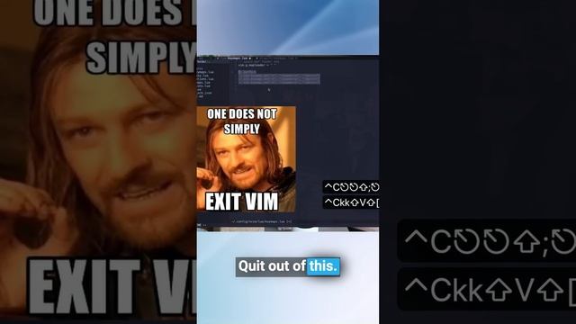 🚀 How to quit vim like a pro + bulk comment keymap #neovim #linux #code смотреть онлайн
