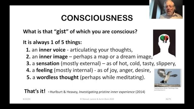 C2: AI/Machine Consciousness1 - TSC2020 смотреть онлайн