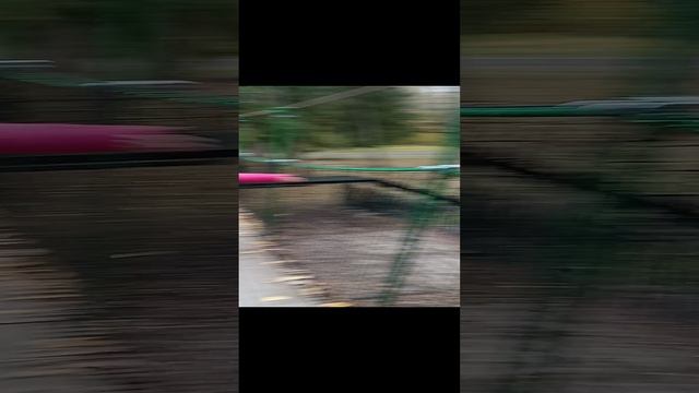 название  РУССКИЕ СЕЗОНЫ /ПЕРЕСВЕТ