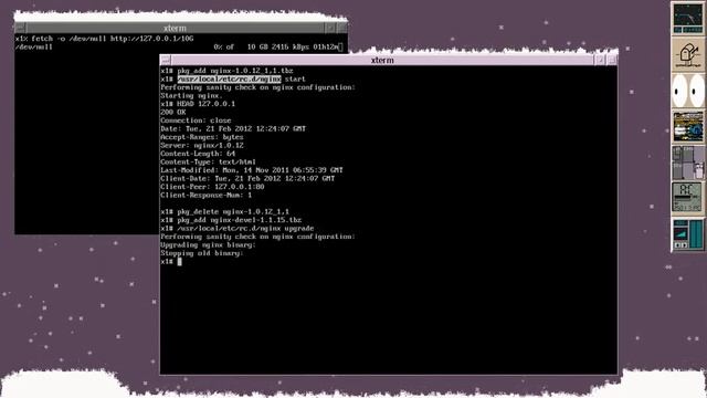 #NGINX OSS servicing 10GB file during an upgrade process on #FreeBSD смотреть онлайн