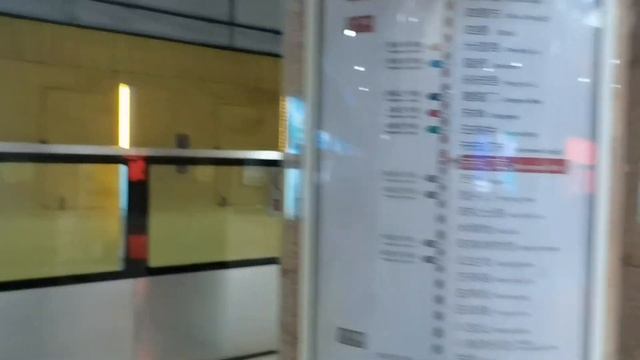 Путешествие после COVID 🇨🇳 Пекинские заметки || ViVlog ✨ смотреть онлайн