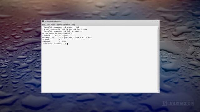 Trisquel 8.0 LTS Flidas - The 100% Libre Linux OS, Using MATE & Powered By Linux-Libre 4.4 смотреть онлайн
