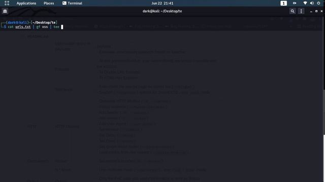 How To Find Blind Xss using Dalfox | Bug Bounty смотреть онлайн