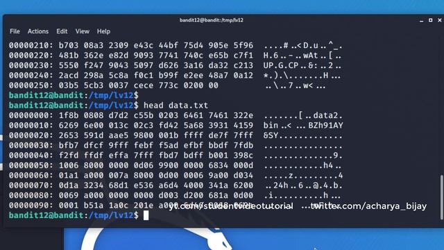 [Kali Linux] CTF Bandit : Level 12 → Level 13 [Over the wire] смотреть онлайн