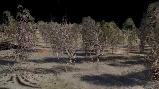 First output video from lasVR point cloud viewer fly-through tools смотреть онлайн