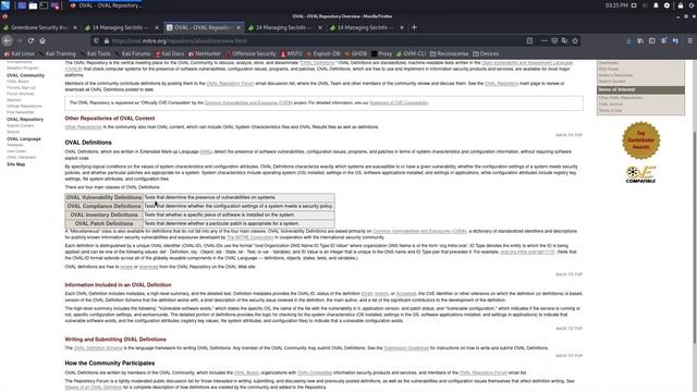 What are OVAL Definitions смотреть онлайн
