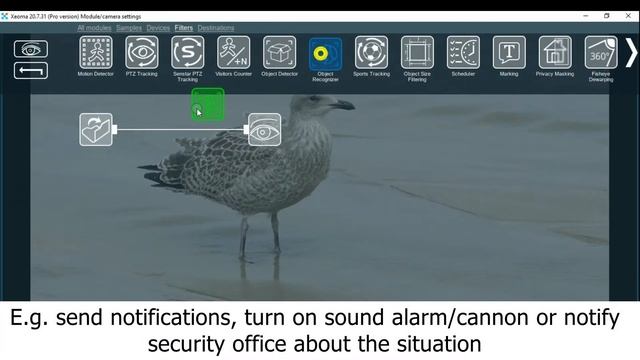 Bird recognition on farms. Artificial intelligence. смотреть онлайн