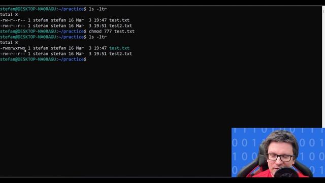 Basic Linux Commands you should know смотреть онлайн