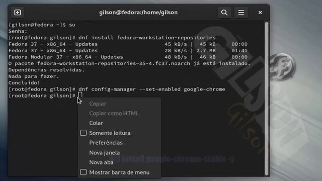 Instalando o Google Chrome no Fedora. смотреть онлайн