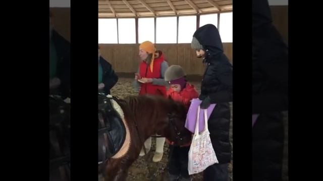 Подарки! Флаеры на бесплатные занятия в новом году смотреть онлайн