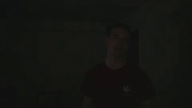 Multiple Room Live Voice Control for Home Automation [DIY] смотреть онлайн