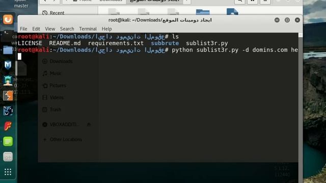 how to find subdomains? by python script смотреть онлайн