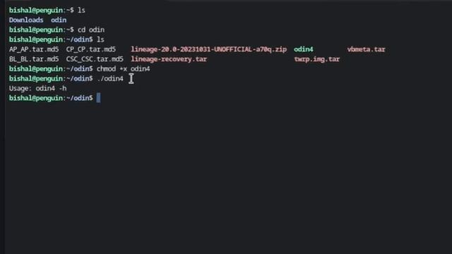 Odin4 for Linux: The Official Samsung Firmware Flash Tool смотреть онлайн