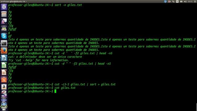Curso de Linux avançado Terminal - 08 - Nível 3 смотреть онлайн