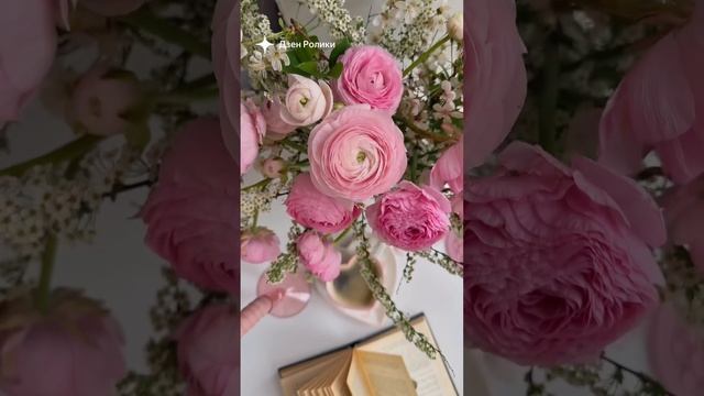 эстетика смотреть онлайн