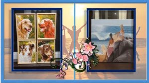 Видео альбом