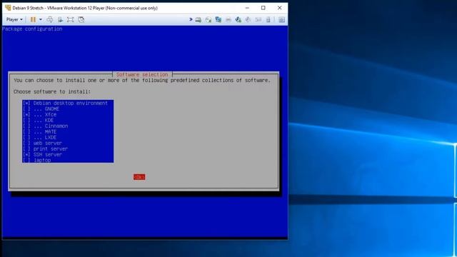 Install Desktop Manager from Console in Debian смотреть онлайн