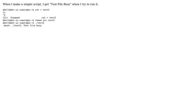 Ubuntu: "Text File Busy" when running a simple script on bash смотреть онлайн